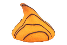 Pumpkin Besito
