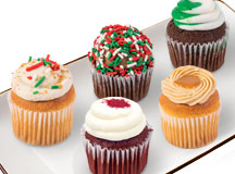 Chocolate Ganache Yule Log