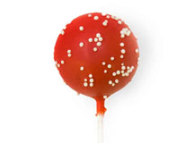 Chocolate Ganache Yule Log